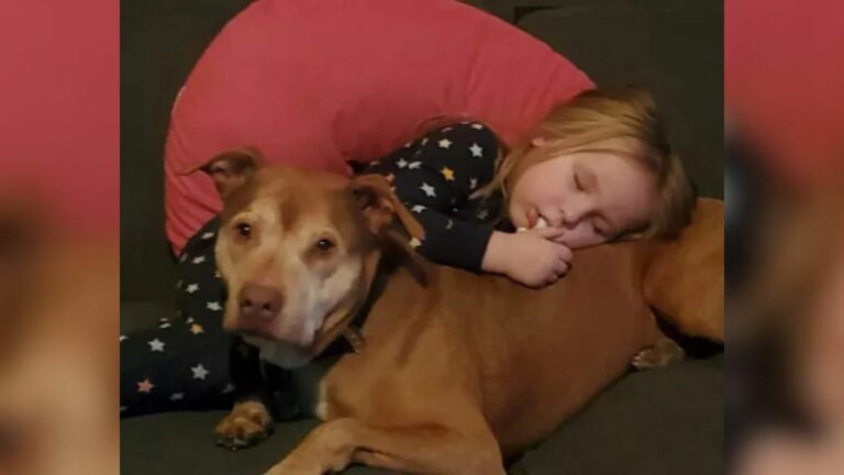 kid and dog