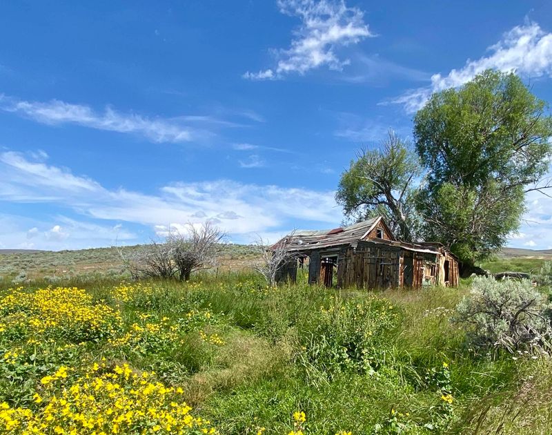 Flanigan Ghost Town: Railroad Relics In Washoe Wilderness