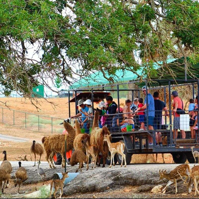 Exotic Resort Zoo – Johnson City