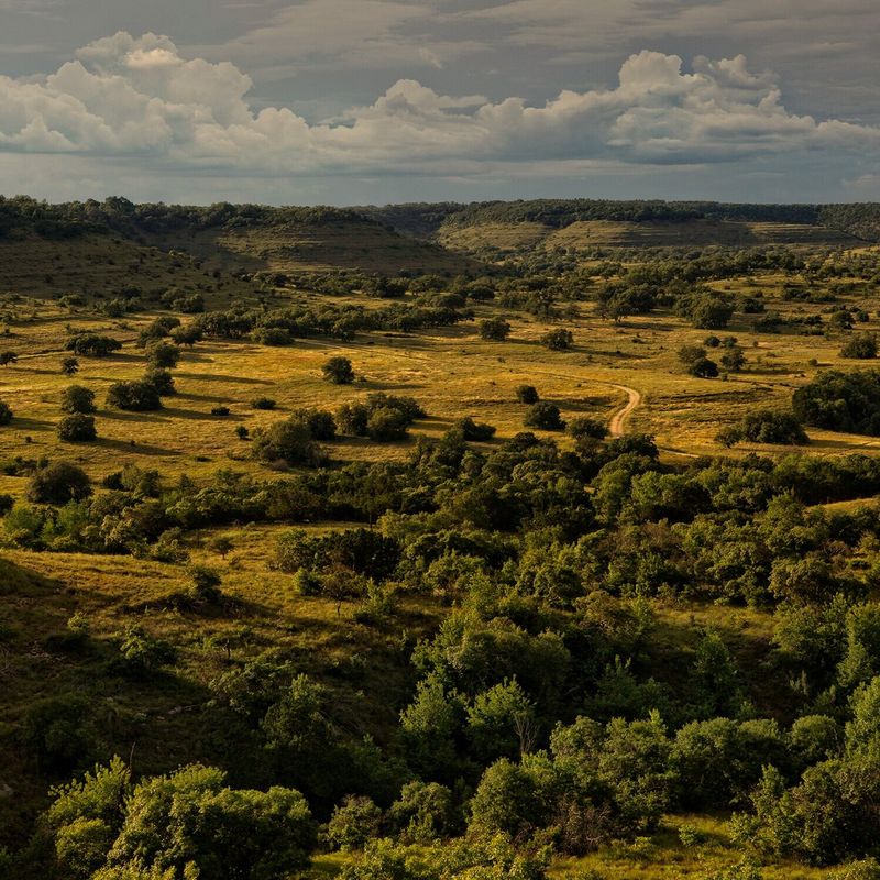 Bamberger Ranch Preserve – Johnson City's Ecological Wonderland