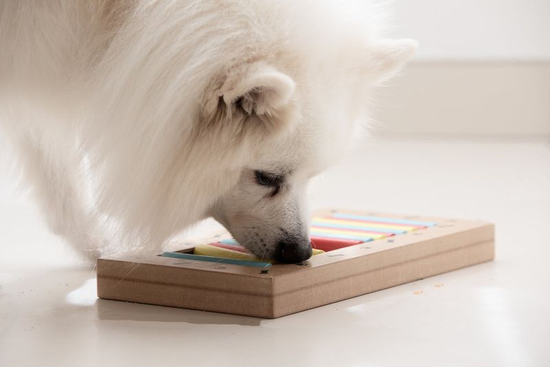 Use Enrichment Over High-Impact Play