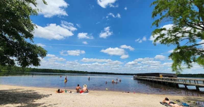 Jones Lake State Park: Tea-Colored Waters With Zero Reptile Worries