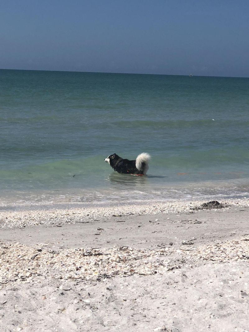 Gulfside City Park Beach – Sanibel