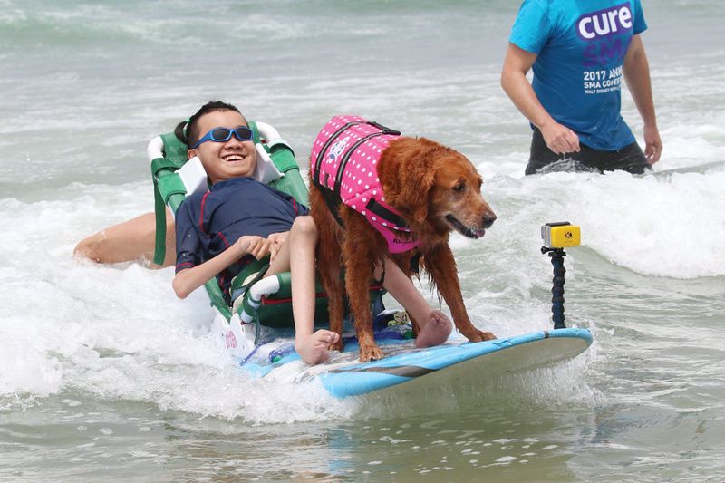 Surf Dog Ricochet – San Diego, CA