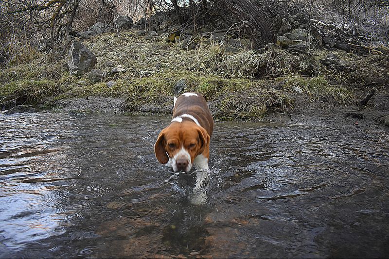 Weather-Ready For Oregon's Changing Skies