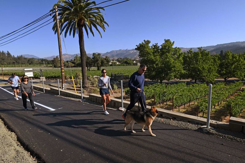 Napa Valley Vine Trail