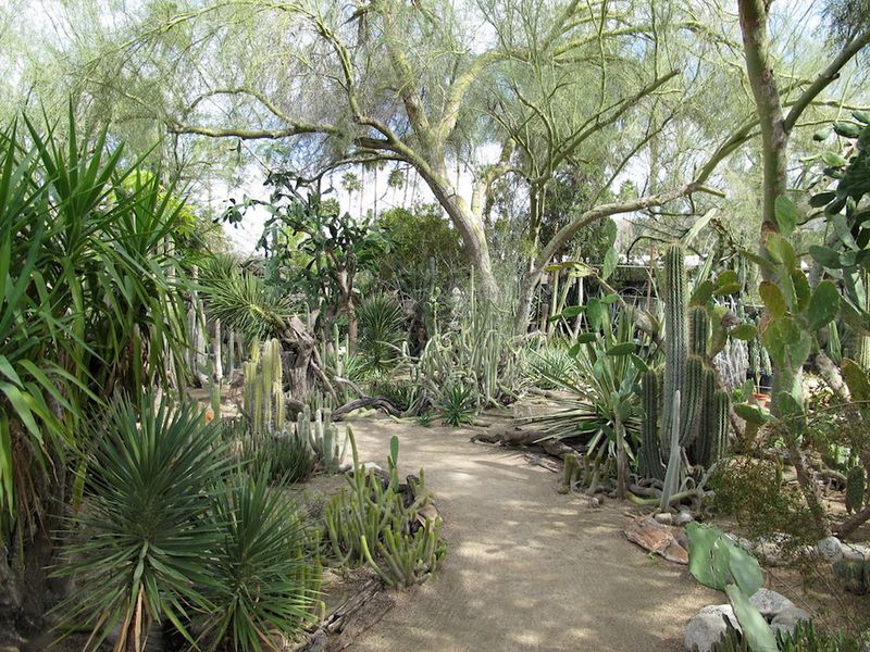Moorten Botanical Garden – Palm Springs