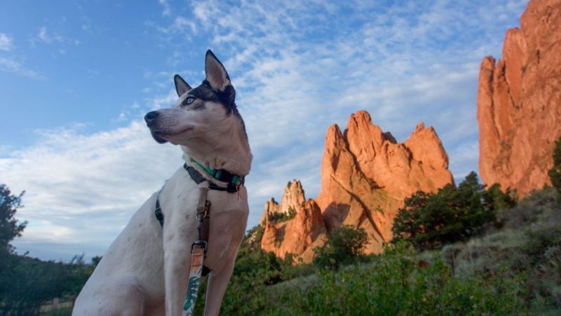 Garden Of The Gods