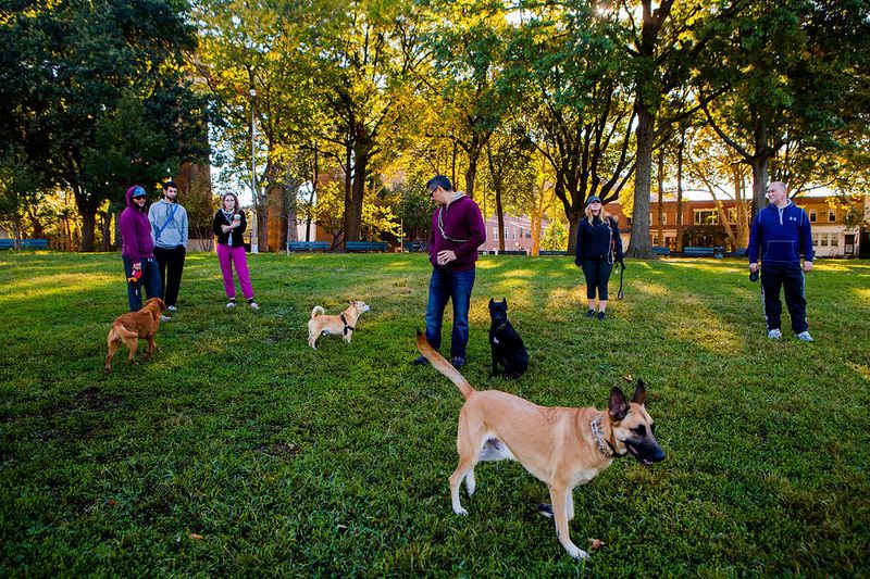 Astoria Park Dog Run: Queens' Riverside Retreat