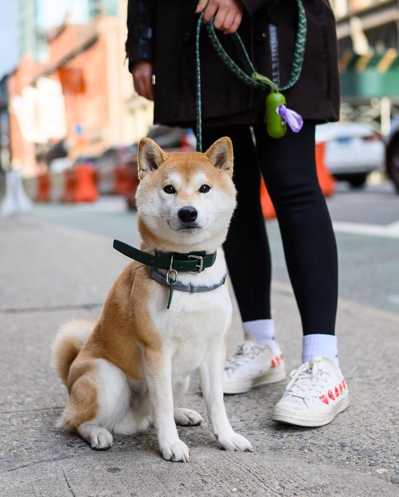 Tourist-Magnet Fluff