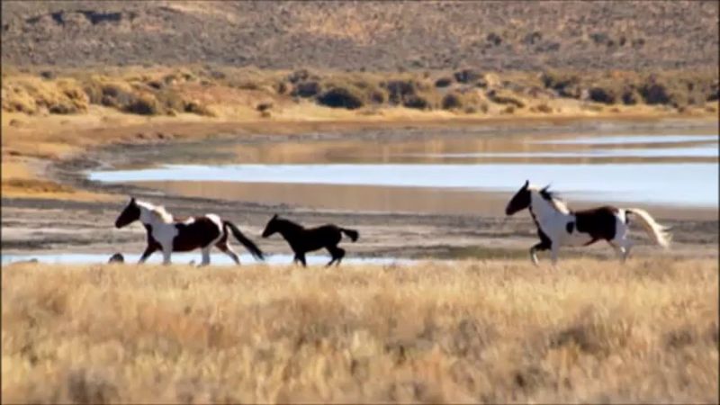 Sheldon National Wildlife Refuge, Nevada