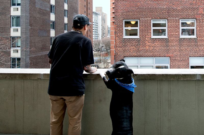 Neighbor Negotiations: The Politics of Pets