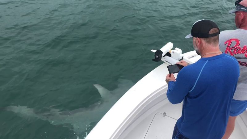 Boca Grande, Florida