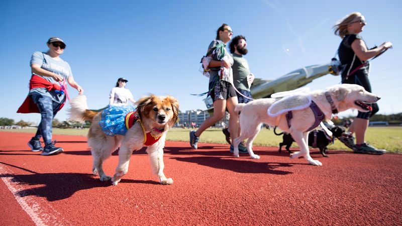 Dog-Friendly Events
