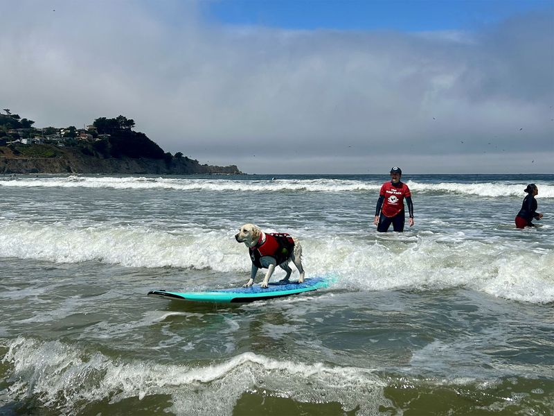 Big Dog Surf Camp – Marin County, CA
