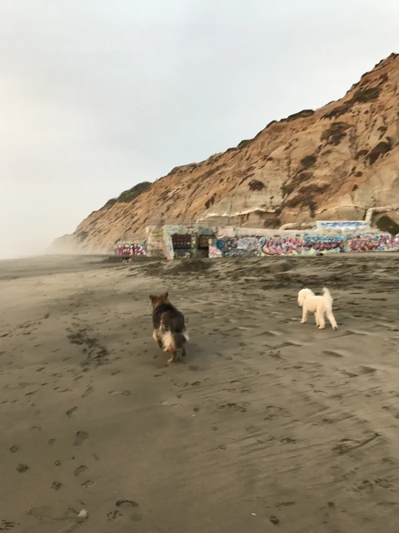Sky-High Splashes At Fort Funston