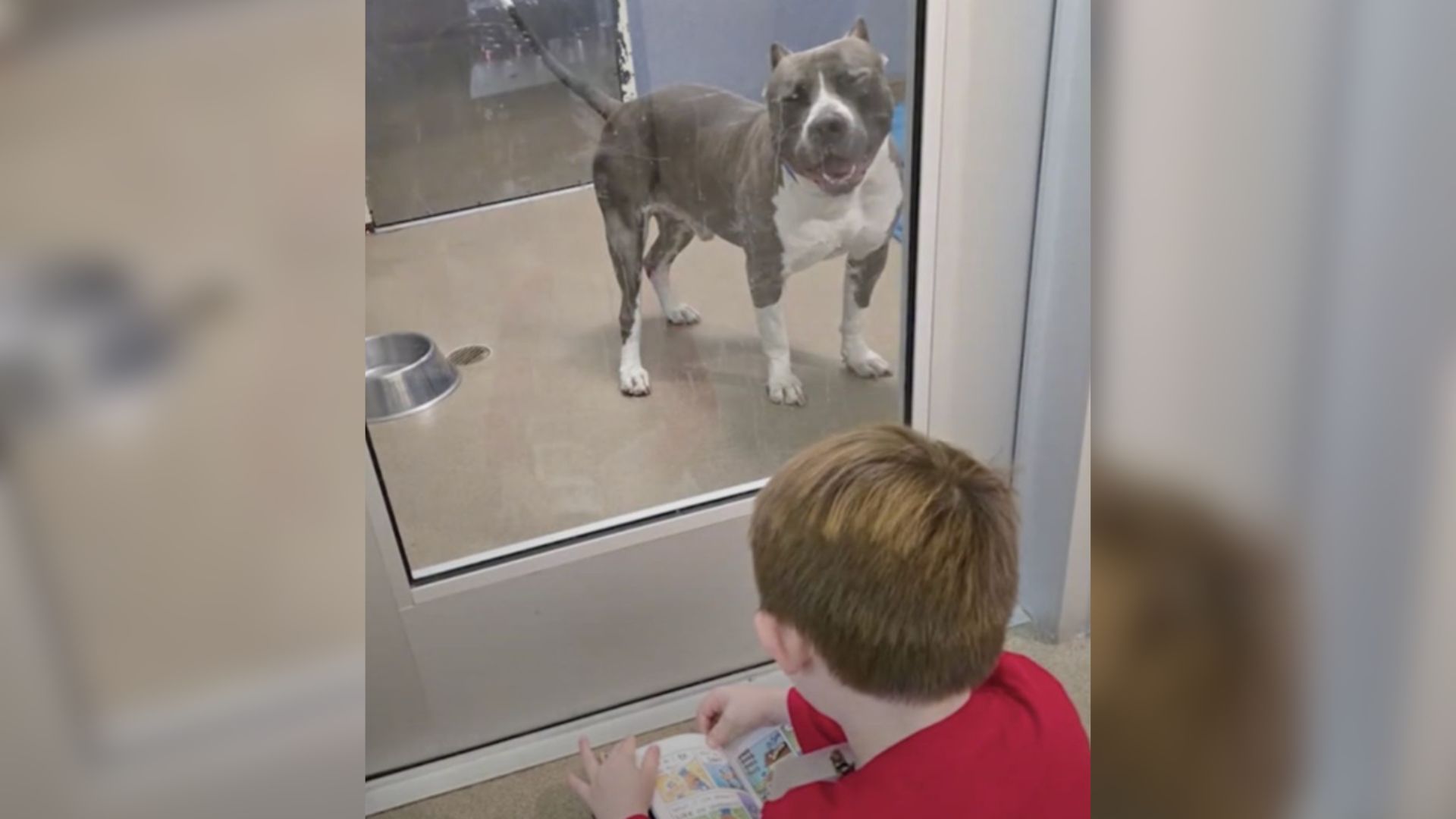 kid and lonely dog