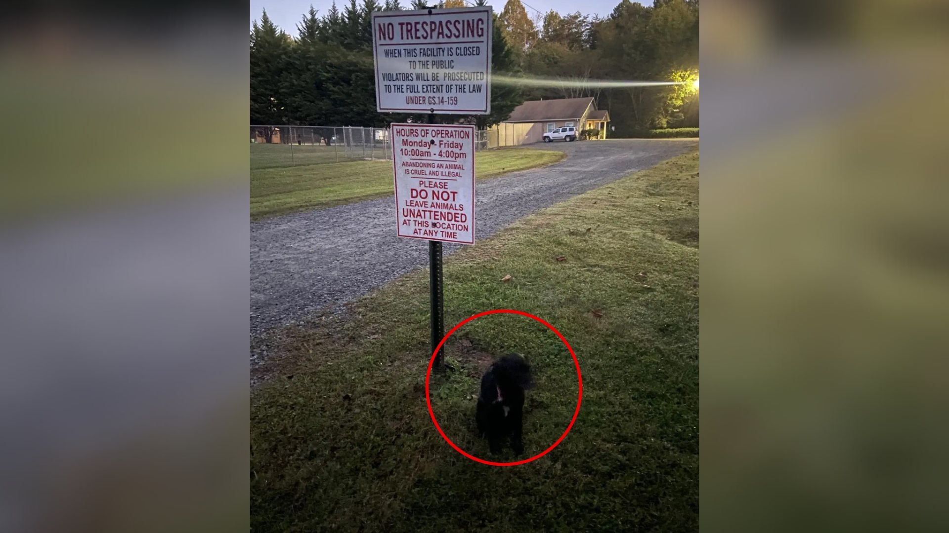 Tears As North Carolina Rescuers Find Dog Left To ‘Do Not Leave Animals’ Sign