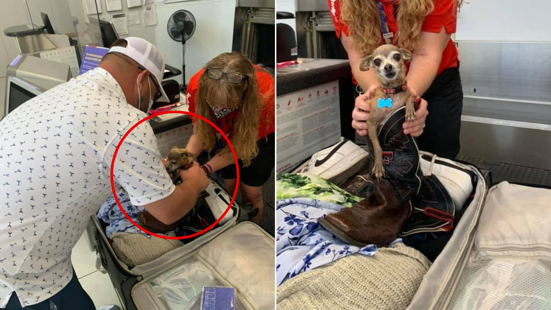 Texas Couple Shocked To Find A Furry Stowaway In Their Suitcase At The Airport