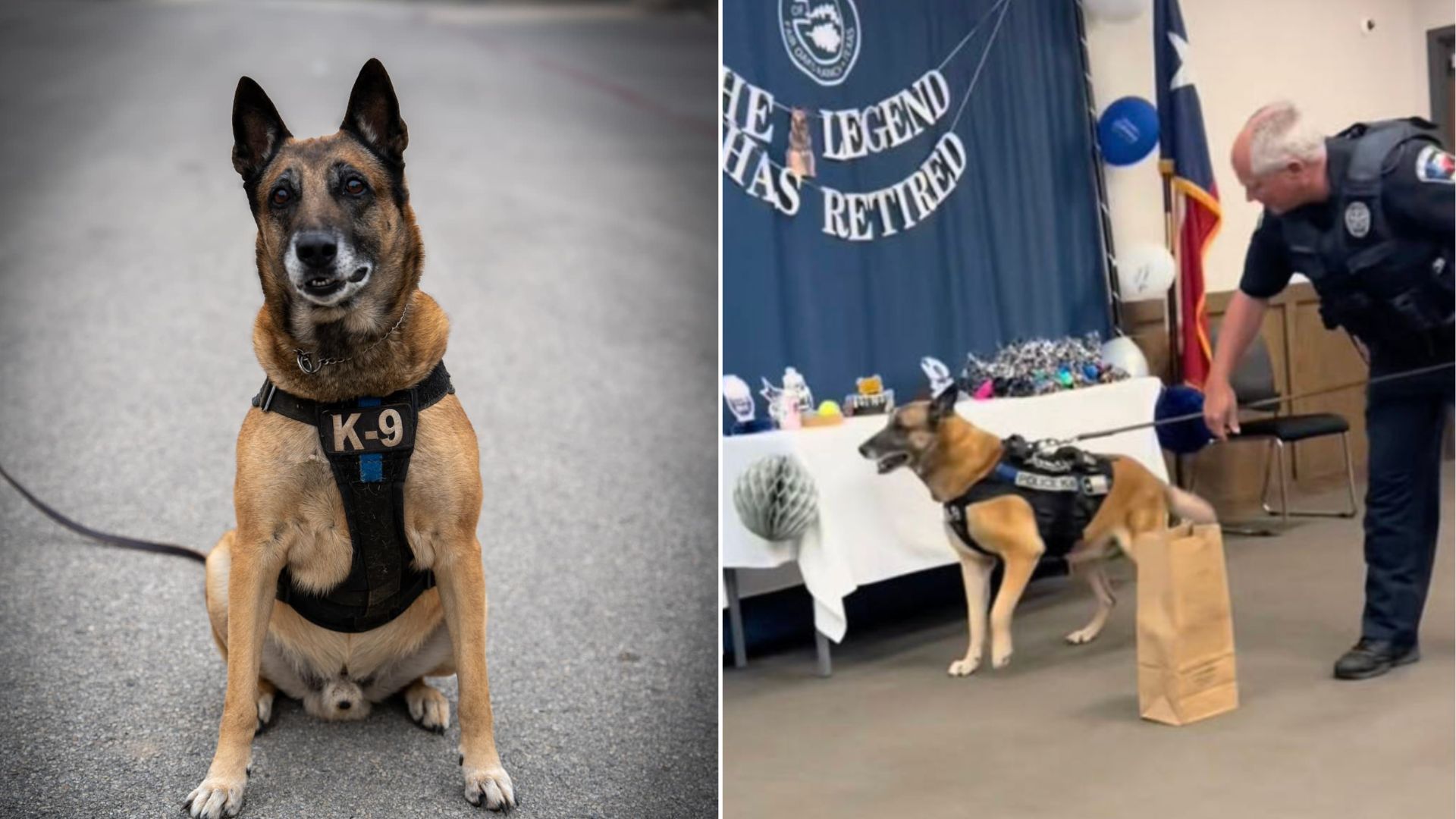 Texas Crew Comes Together To Say Goodbye To Beloved K-9, Ending With A Sweet Surprise