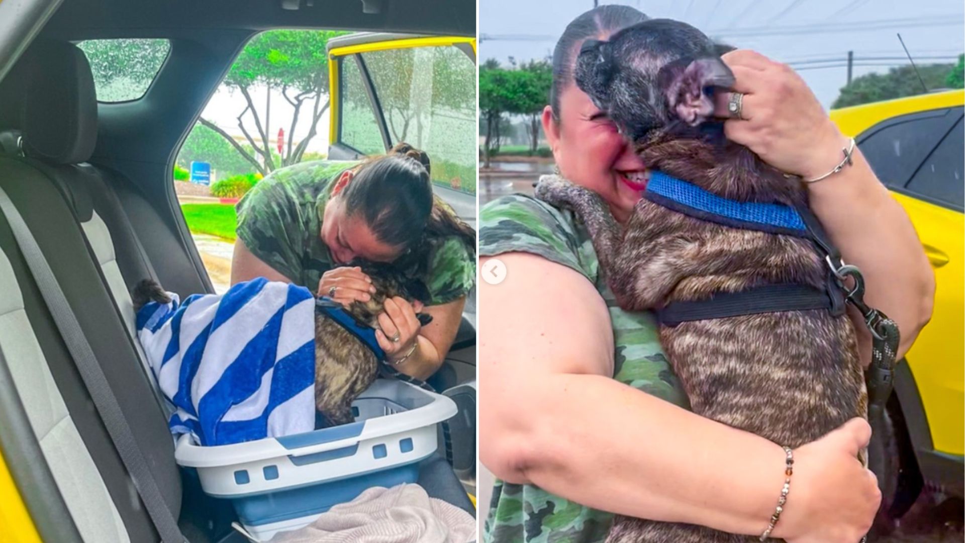woman and missing dog