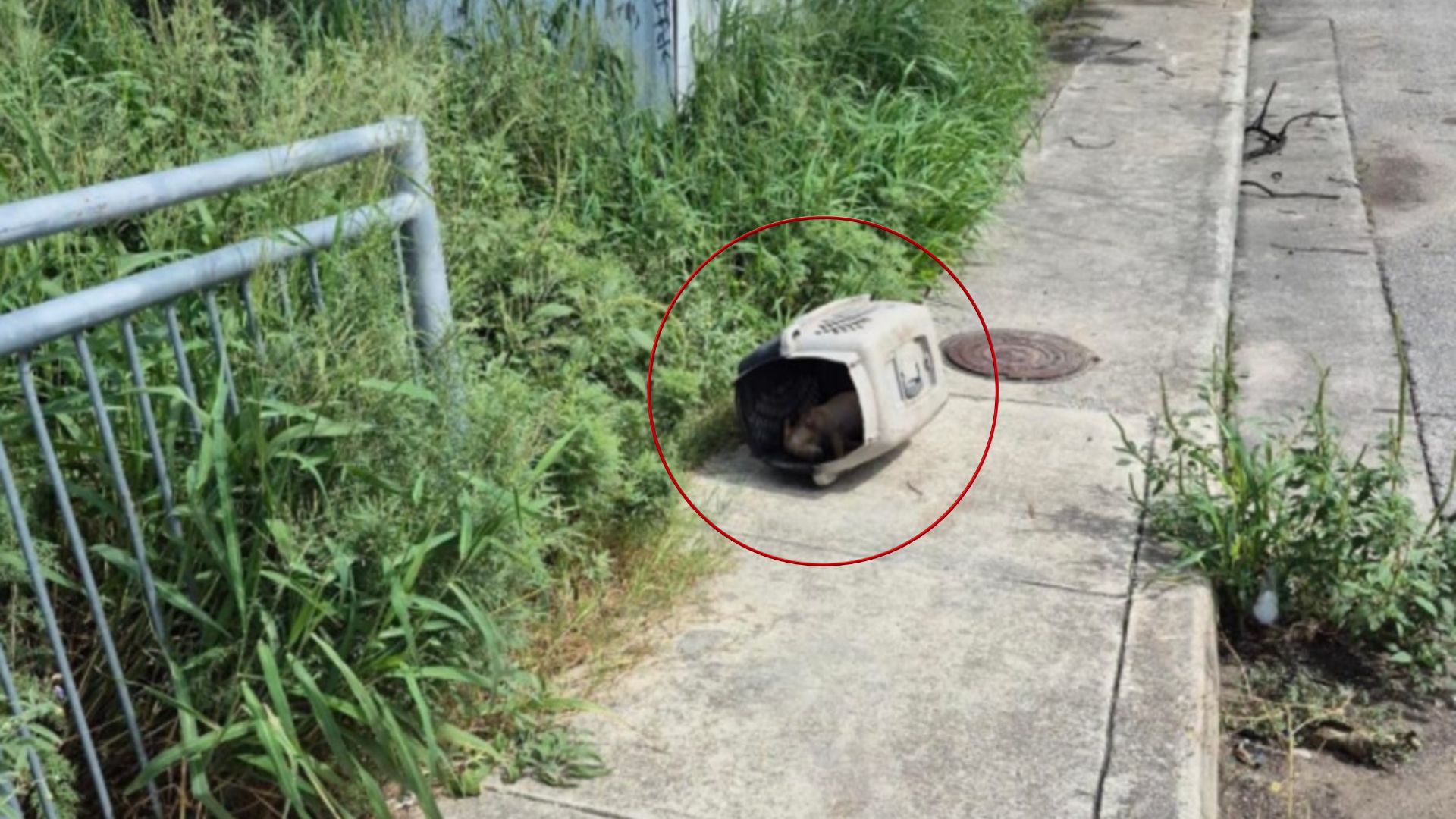 crate on road