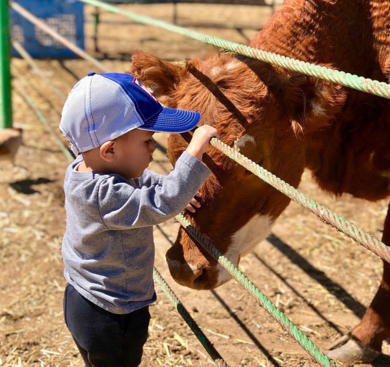 Licon Dairy – San Elizario