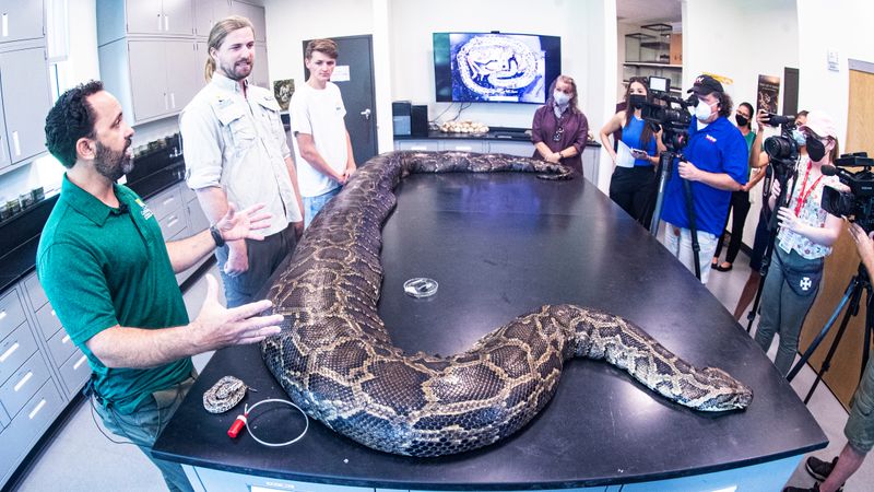 Record-Breaking Capture