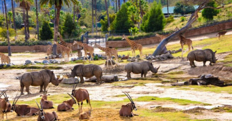 The Top 10 Biggest Zoos Across The U.S.