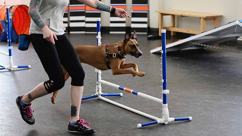 One-Size-Fits-All Training Doesn't Work