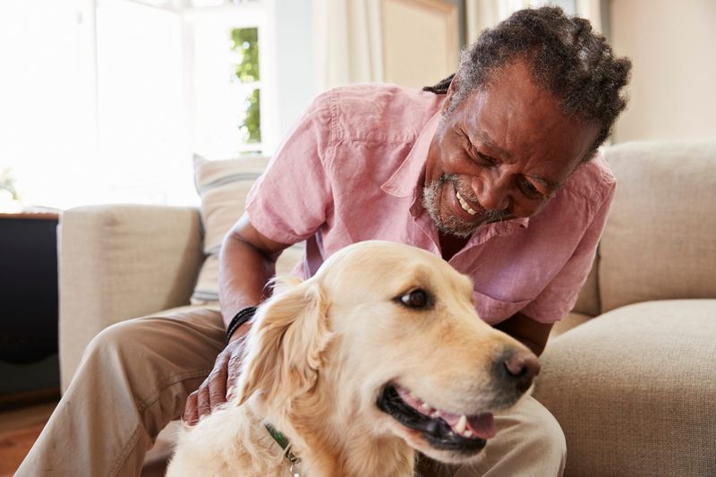 Gentle Souls With Calm Temperaments