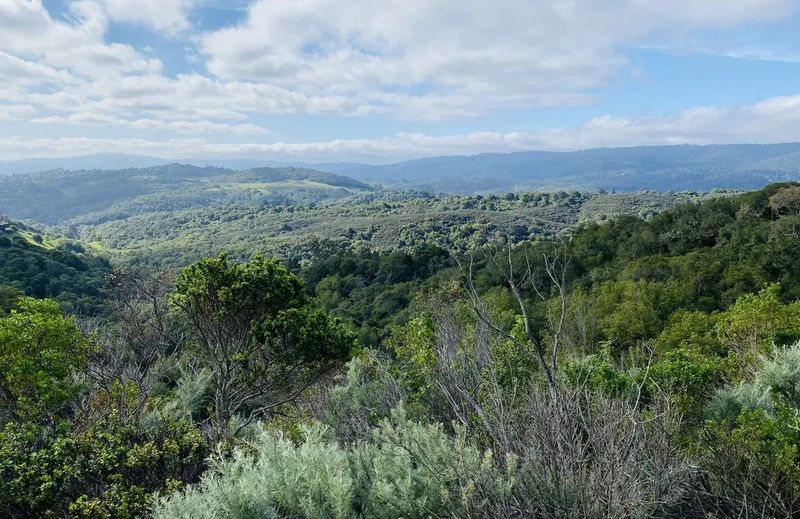 Pulgas Ridge Open Space Preserve – Redwood City, CA