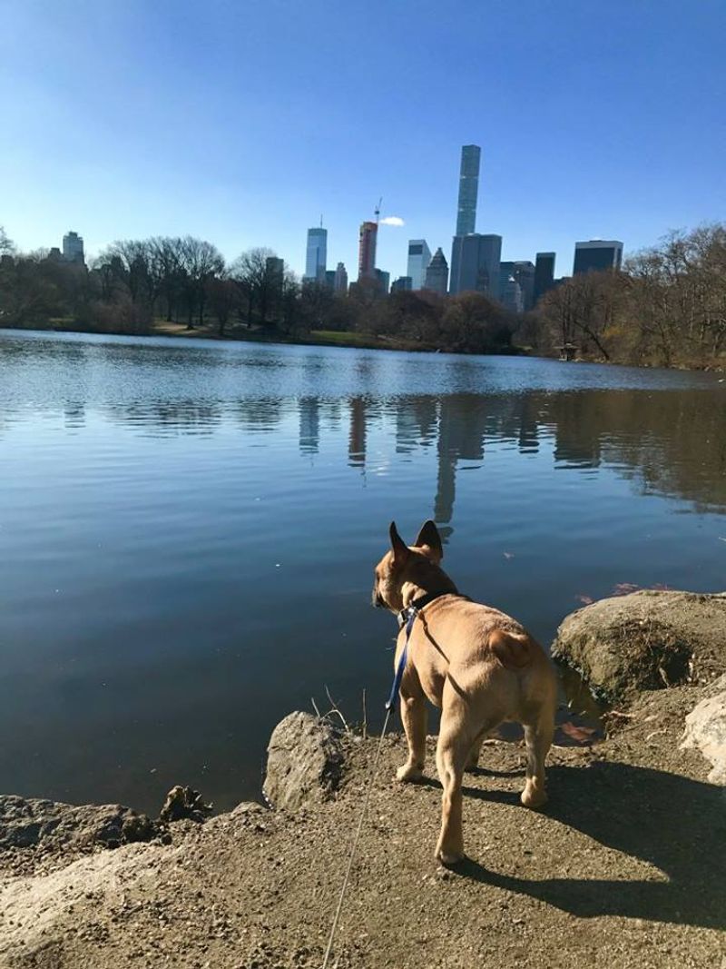 Riverside Park: Heaven For Water-Loving Woofers