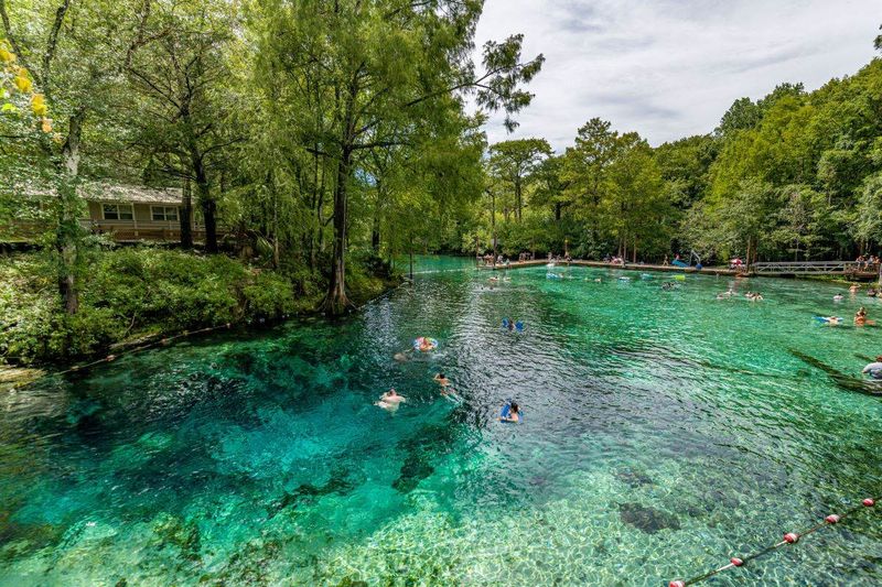 Fanning Springs: Crystal Waters And Puppy Paddles
