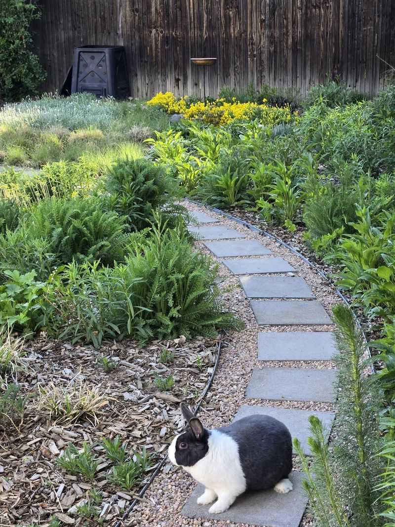 Rabbits: Fluffy Fertilizer Factories