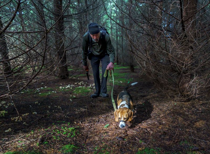 Nose That Knows Oregon's Wild Wonders