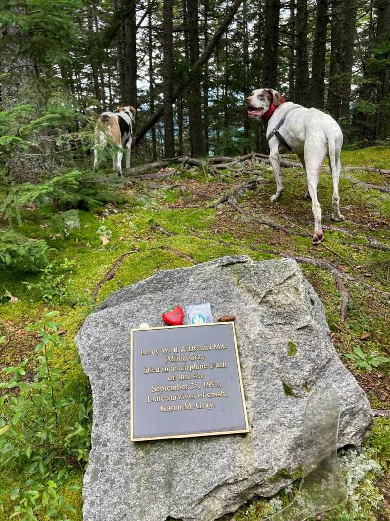 Mount Will Trail: Panoramic Views Worth Barking About