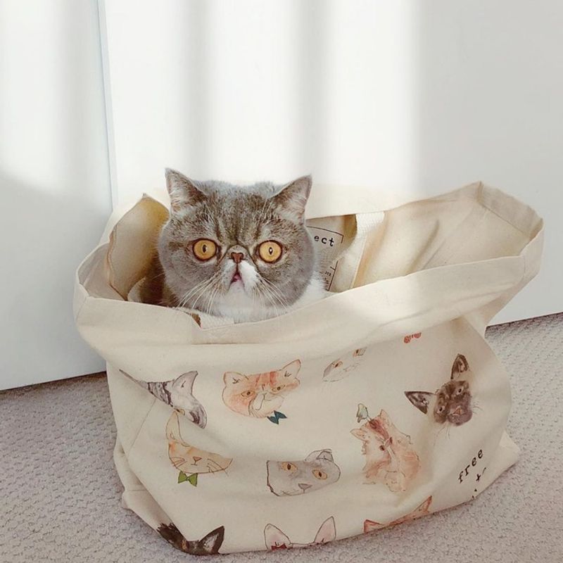 Inside Tote Bags: The Urban Explorer's Pocket