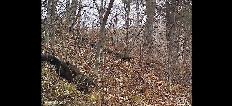 Why The Fisher's Return To Iowa Is Significant?