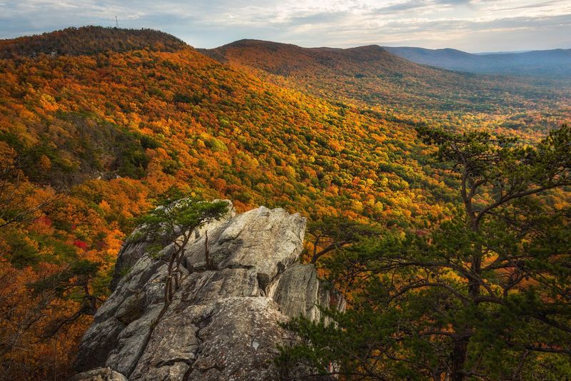 Alabama: Southern Chipmunk Sanctuary