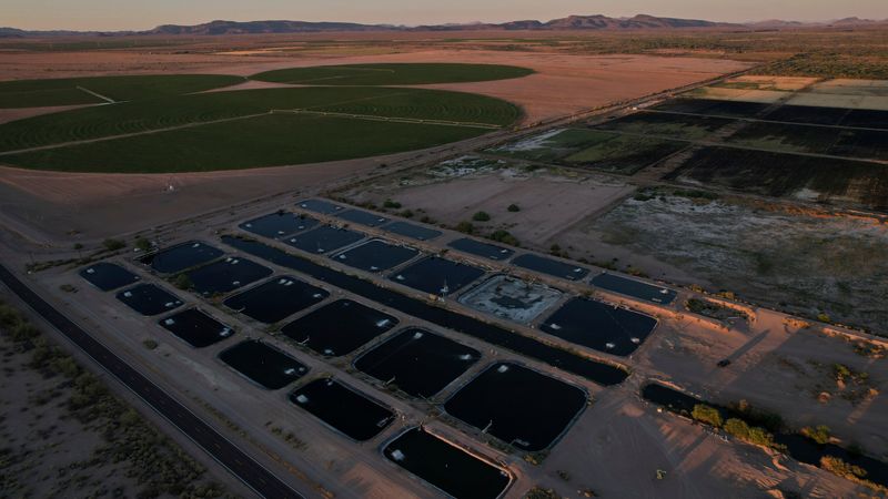 Implement Water Conservation Practices