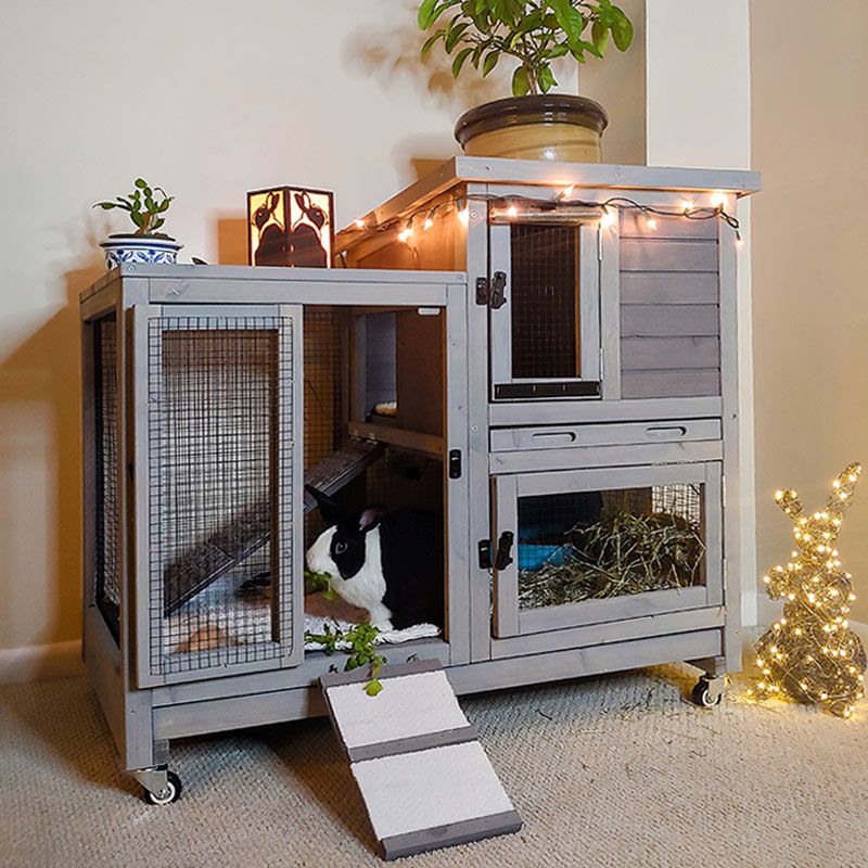 Bunny-Friendly Housing Options Abound