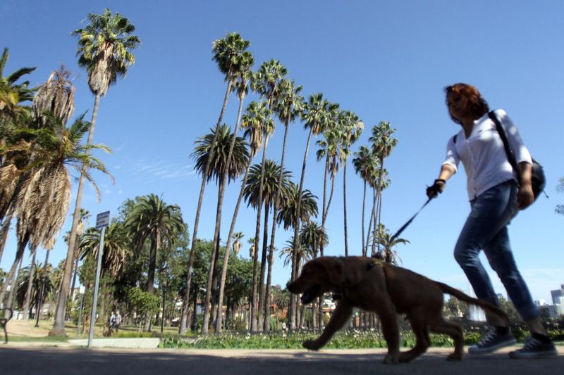 Echo Park