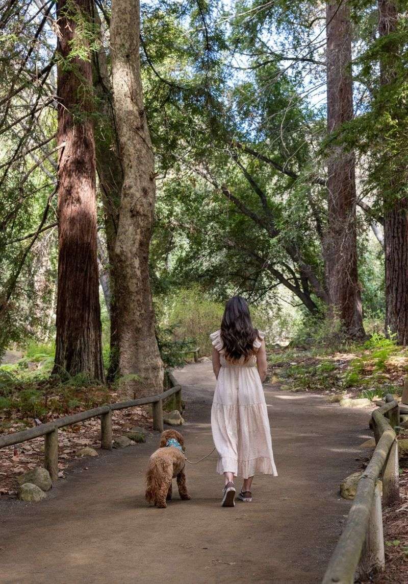 Santa Barbara Botanic Garden – Santa Barbara