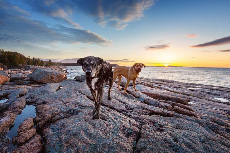 Maine's Coastal Comfort