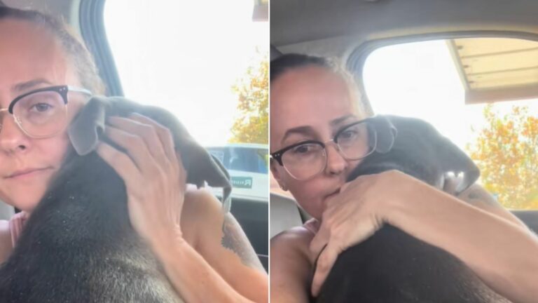 woman hugging a dog