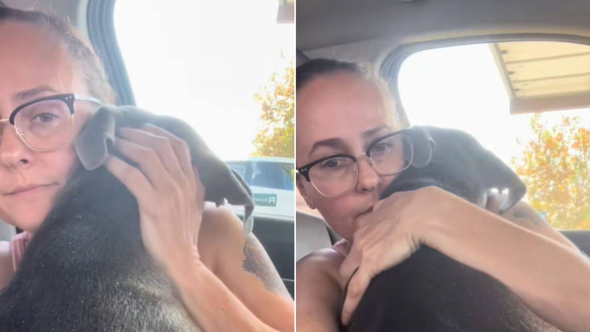 Viewers Cry Tears Of Joy As California Euthanasia-Listed Dog Realizes She’s Finally Safe