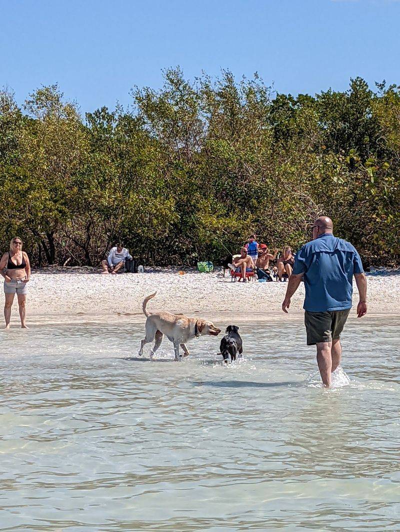 Bonita Beach Dog Park – Bonita Springs