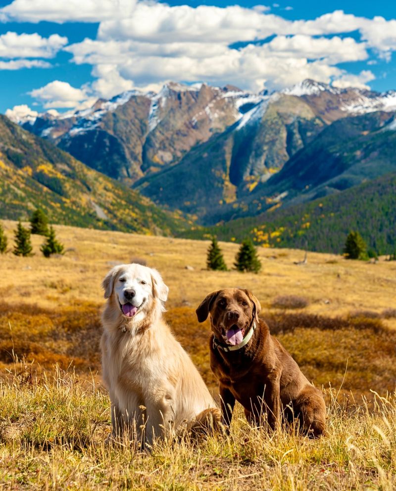 Colorado's Mountain Majesty