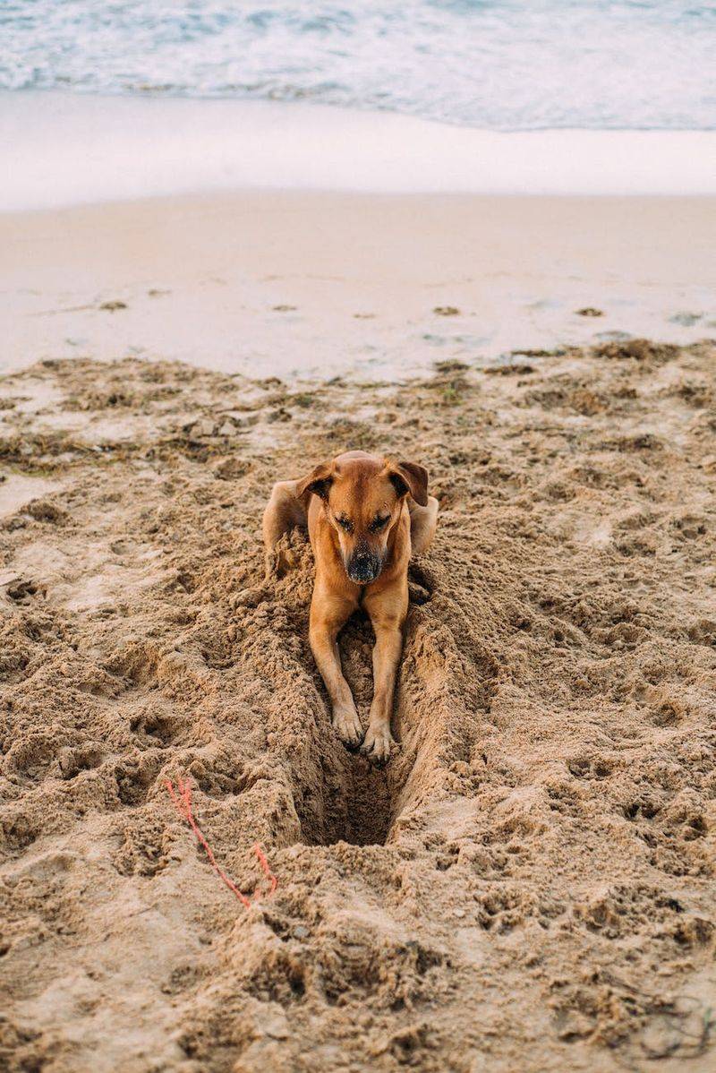 Sandy Excavation Expert